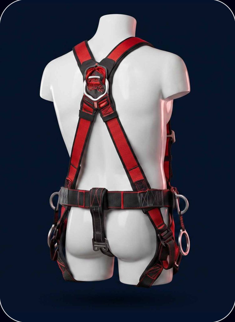 Full-Body Harness with Dorsal D-Ring