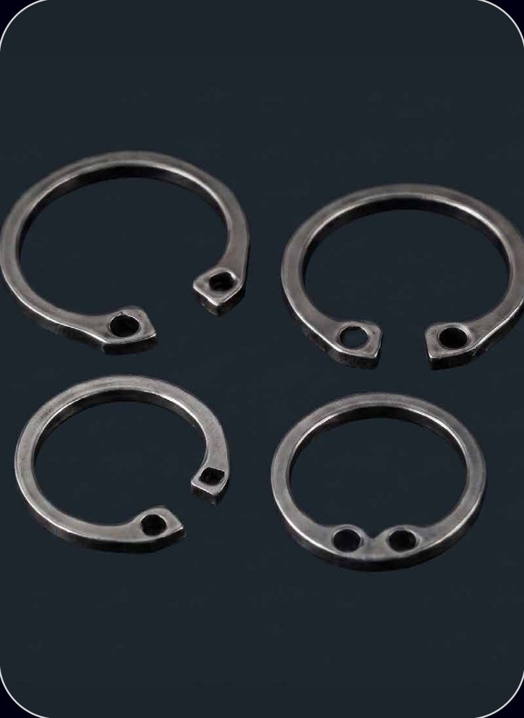 Retaining Circlip Set