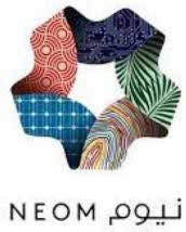 NEOM